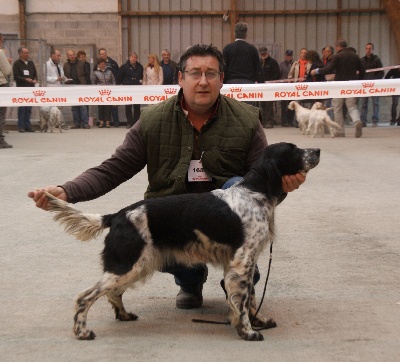 Du Clos Du Yaudet - exposition canine internationale